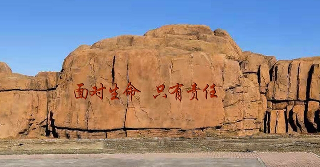 本溪成大药业假山造景